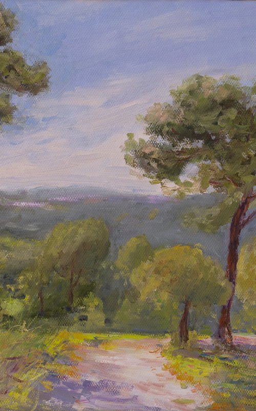 Carmel Mountain by OLEG KAMAEV