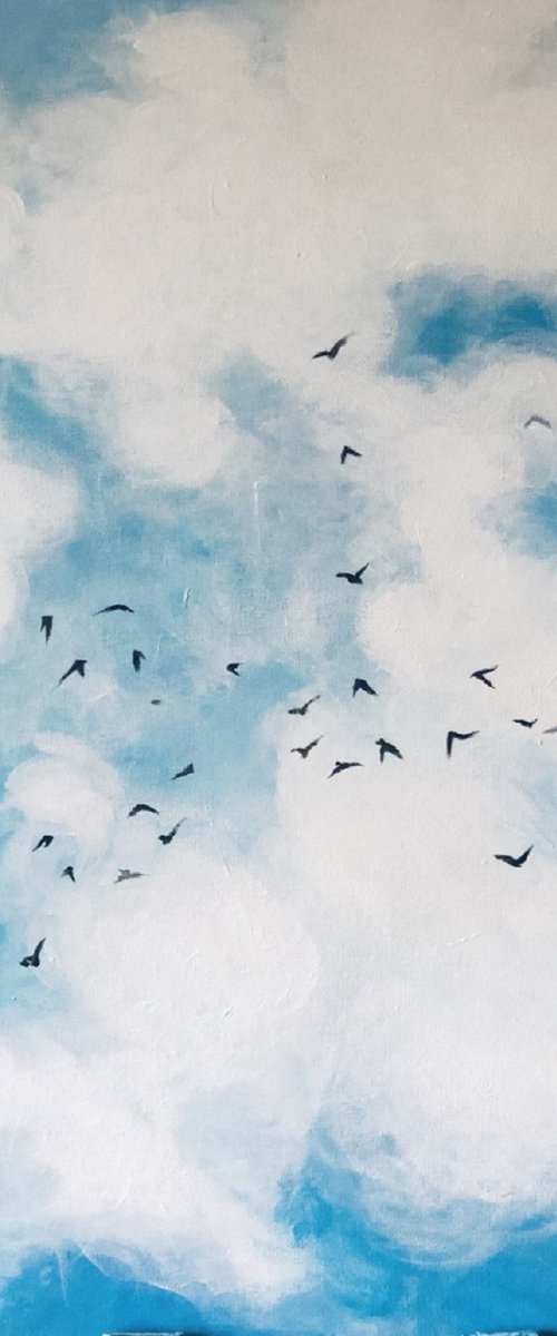 Riding The Clouds by Shabs  Beigh