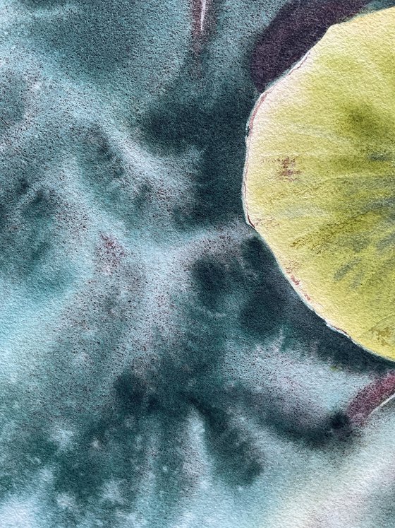 Whisper of the lotus