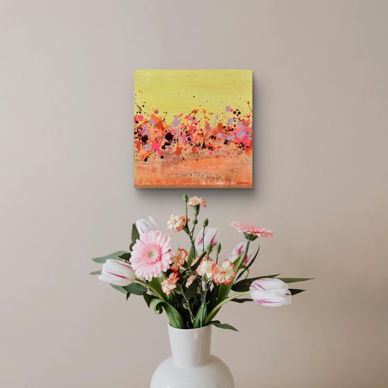 Sunkist Coral 2