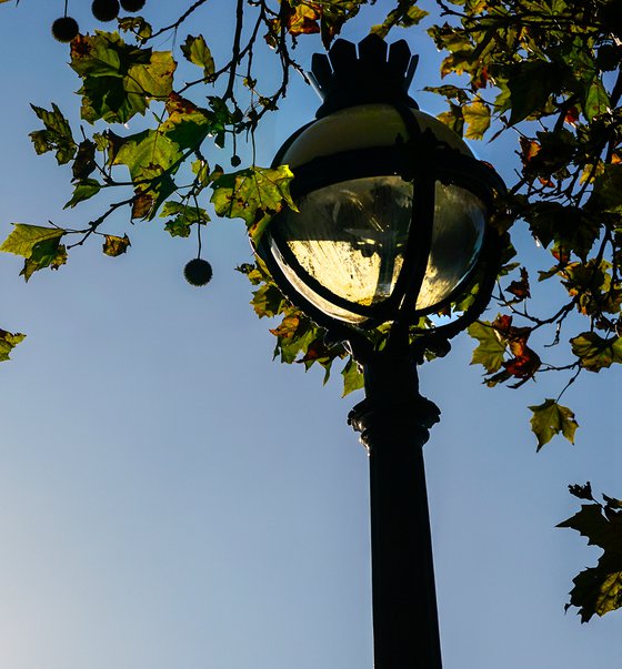 RIver Thames lamp Autumn 2020  1/20 18"X12"