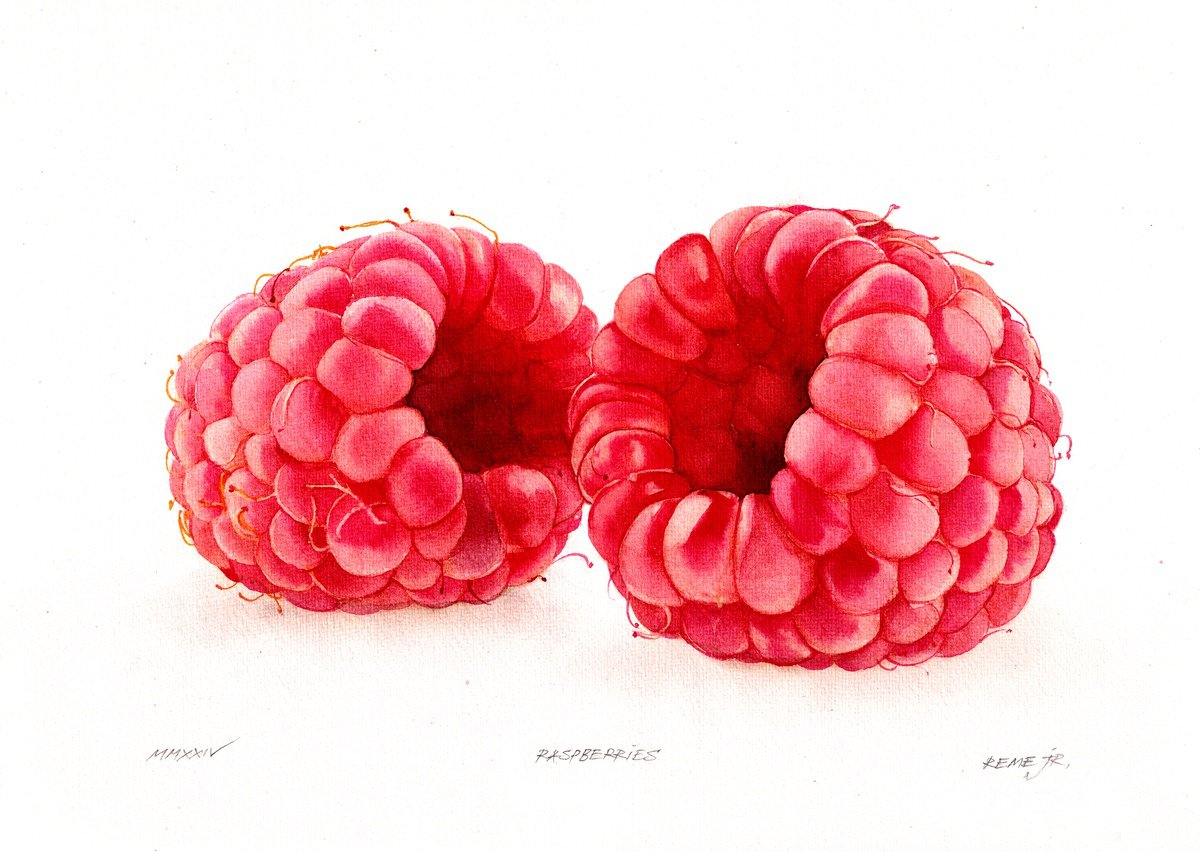 Photorealistic Still Life Watercolour By Reme Jr., 14 X 10", Raspberries, Original Artwork