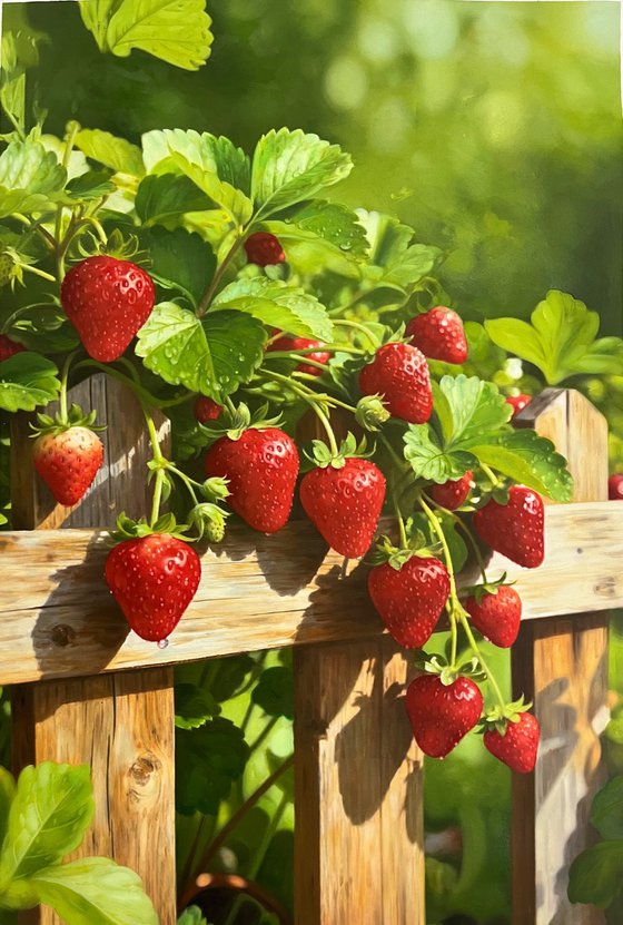 Strawberries t295
