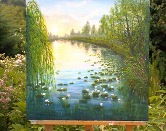 Serene lily pond