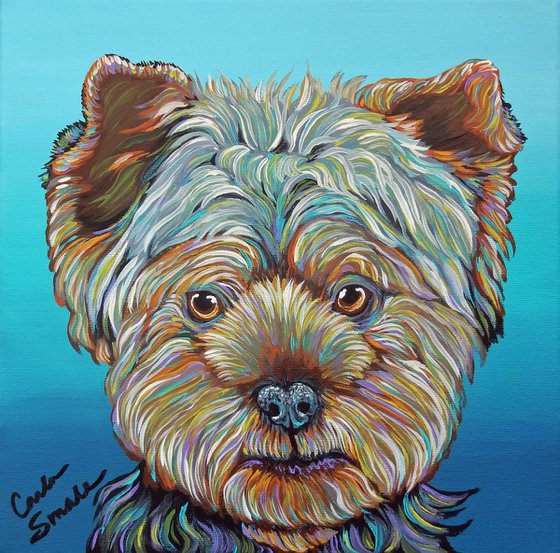 Yorkie Yorkshire Terrier Pet Dog Art  Rainbow Style Canvas- 10 x 10 inches -Carla Smale