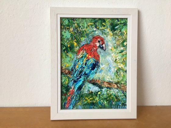 Parrot Ara