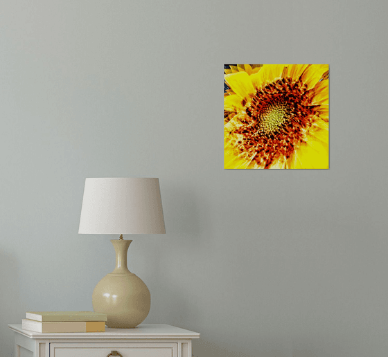 Abstract Sunflower. Limited Edition Abstract Photograph Print  #1/50. Closeup of a sunflower abstraction.