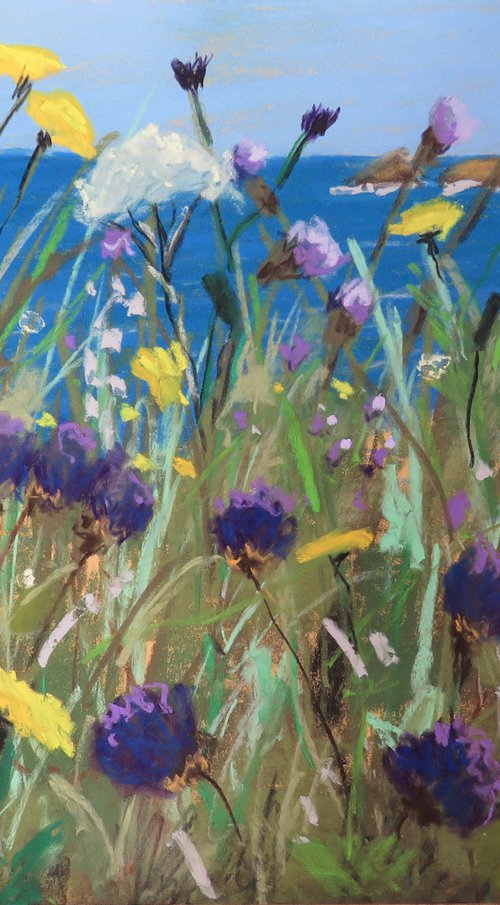 Through coastal flowers by Kerry Lisa Davies