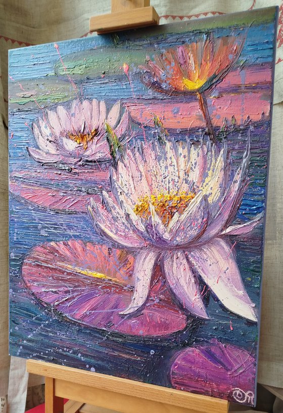 Water lilies