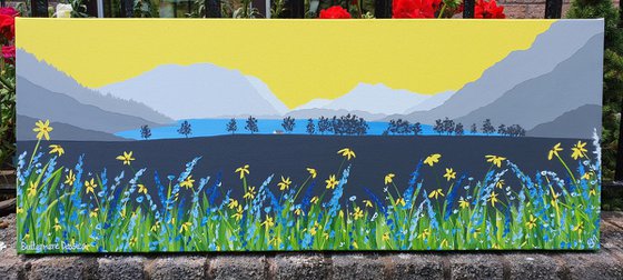 Buttermere Daisies, The Lake District