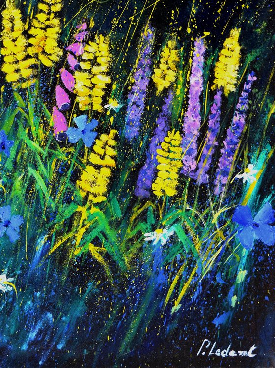 Garden flowers   -6723