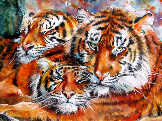 Resting tigers