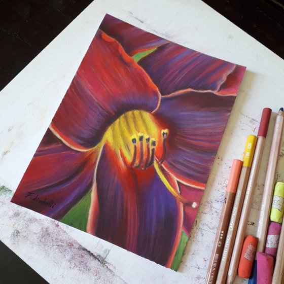 Red purple lily