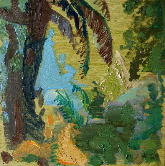 In the Forest of La Gomera