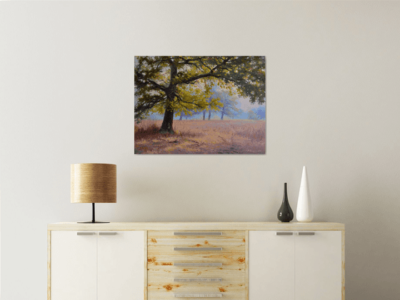 Autumn in an oak grove