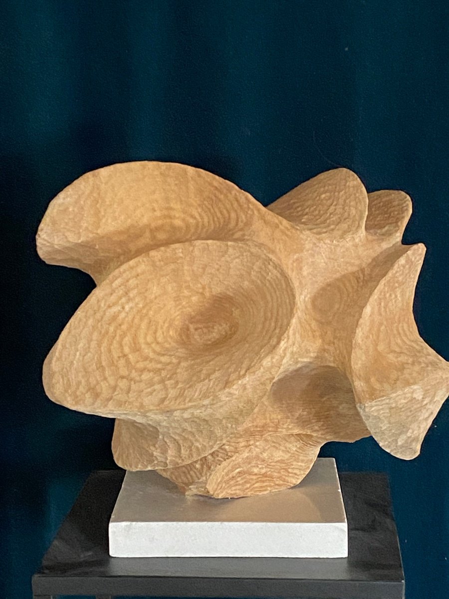Organic Abstract Wood Sculpture By Michael Rofka, 13 X 12", Cosmic Blossom, Original Artwork