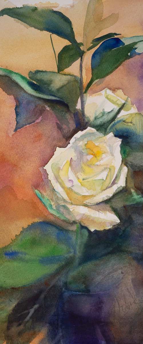 White Roses by Irina Bibik-Chkolian