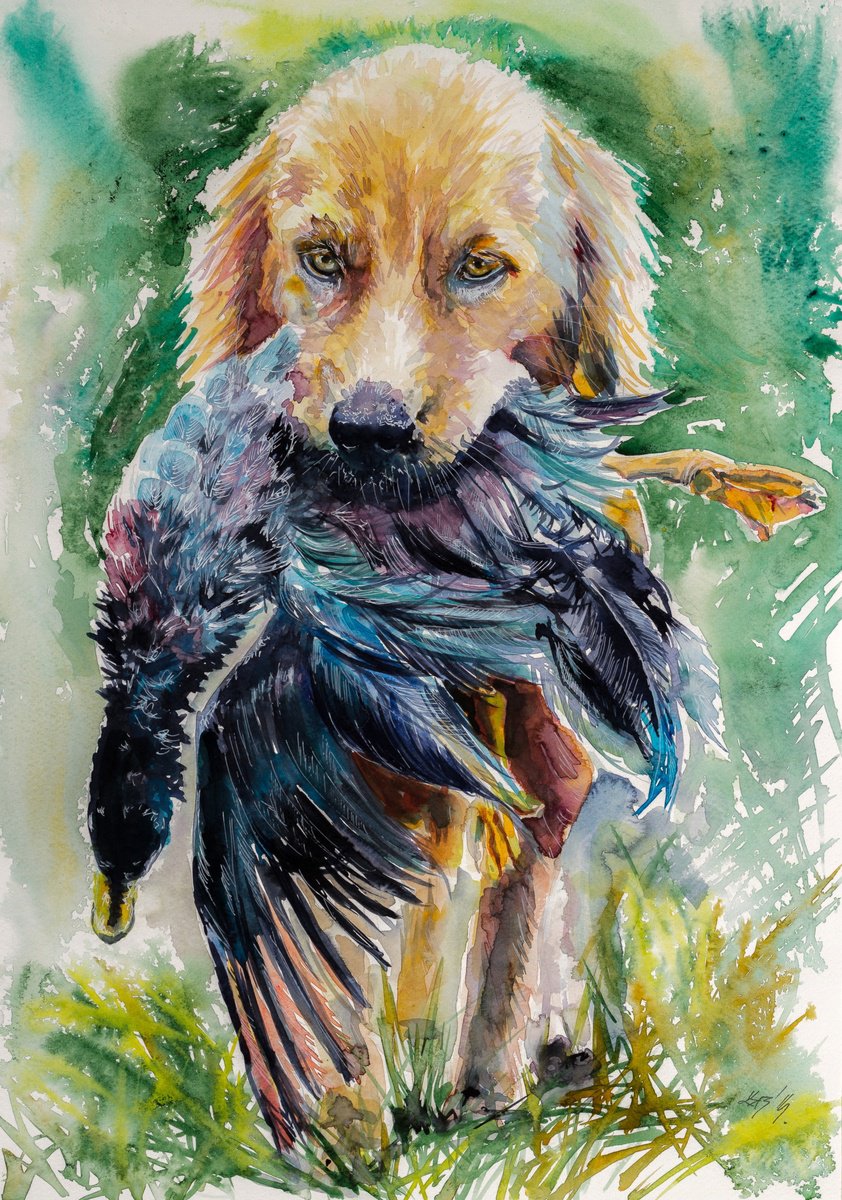 Impressionistic Animal Watercolour By Kovacs Anna Brigitta, 14 X 20", Dog With Mallard, Original Artwork
