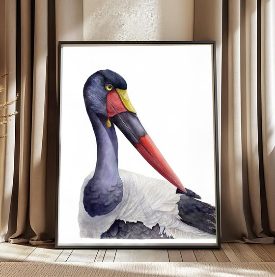 Saddle-billed Stork Portrait
