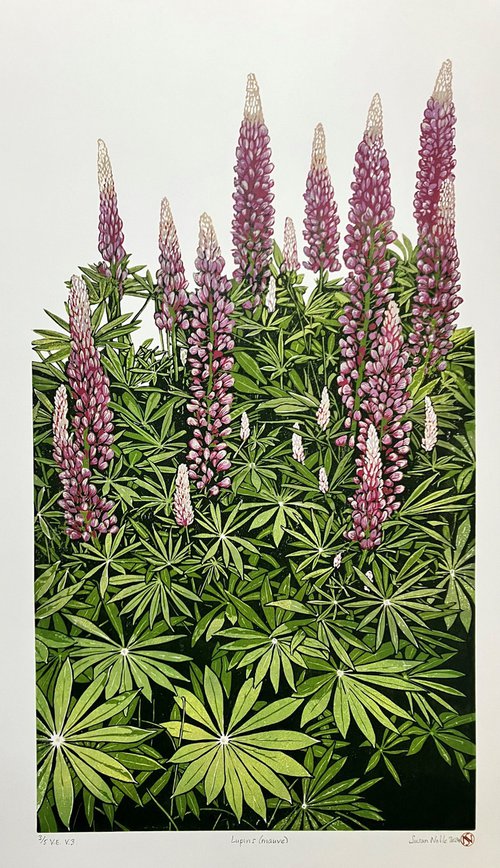 Lupins (mauve) by Susan Noble
