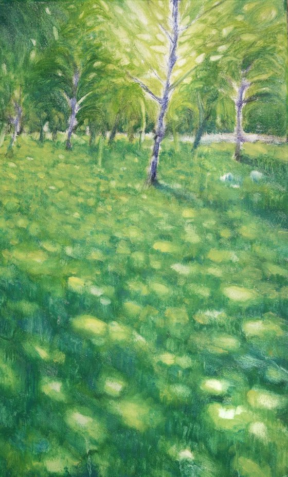 Light walking on the lawn V