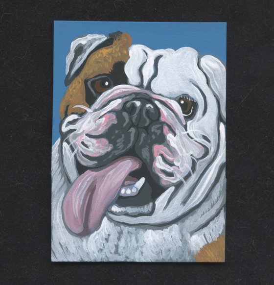 ACEO ATC Original Miniature Painting English Bulldog Pet Dog Art-Carla Smale