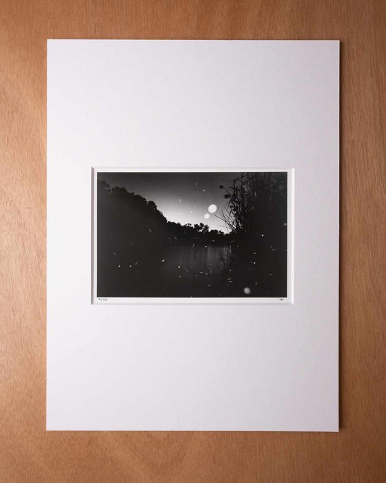 Fireflies