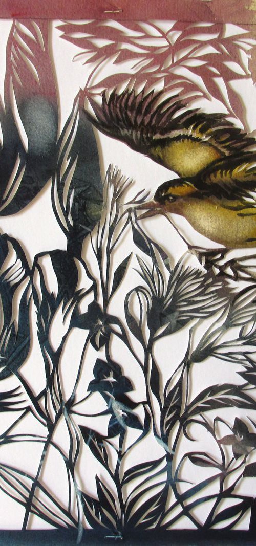 gold finch in garden, watercolor and paper cut by Alfred  Ng
