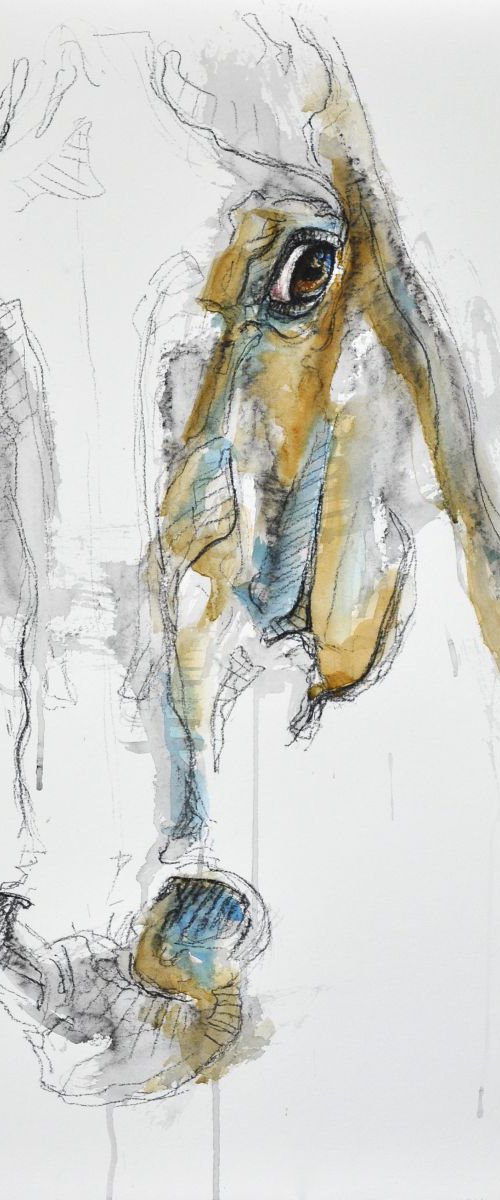 Equin Nude 40t by Benedicte Gele