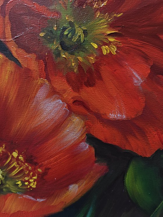 Poppies, Original oil painting