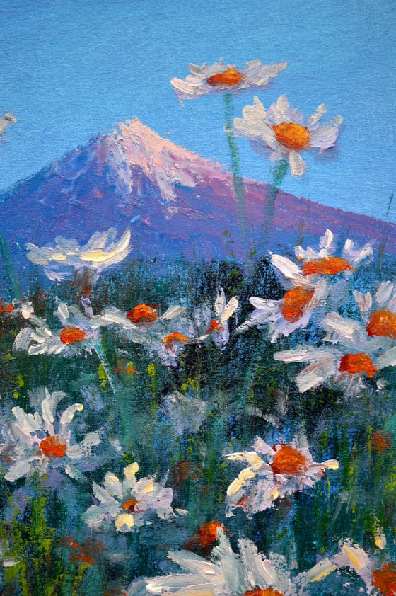 Japanese meadow daisies 30X24