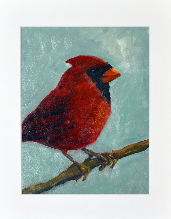 Red Cardinal on a Branch