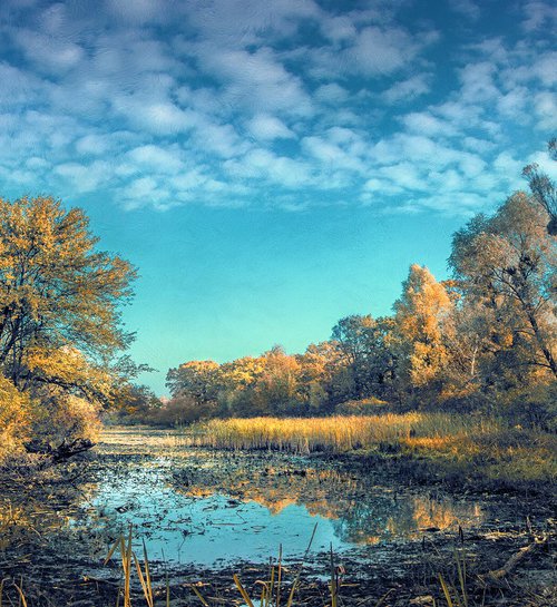 Gold of abandoned autumn. by Valerix