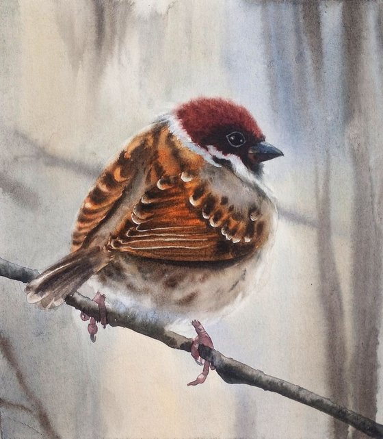 SPARROW Bird  Watercolor Sparrow Watercolor Bird  Steadfast