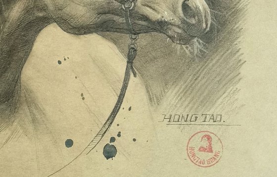 Horse#22525