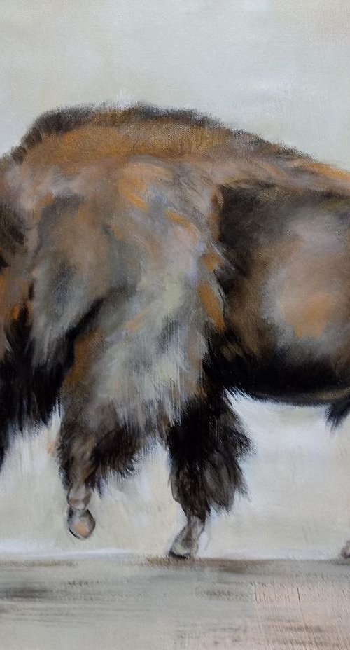 Buffalo by Silvia  Vassileva