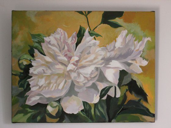 White peony