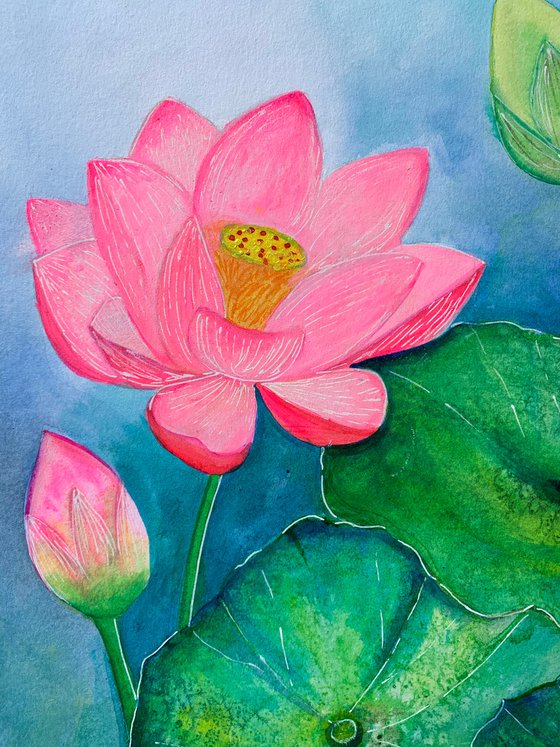 Lotus Bloom II ! A3 size Painting on paper