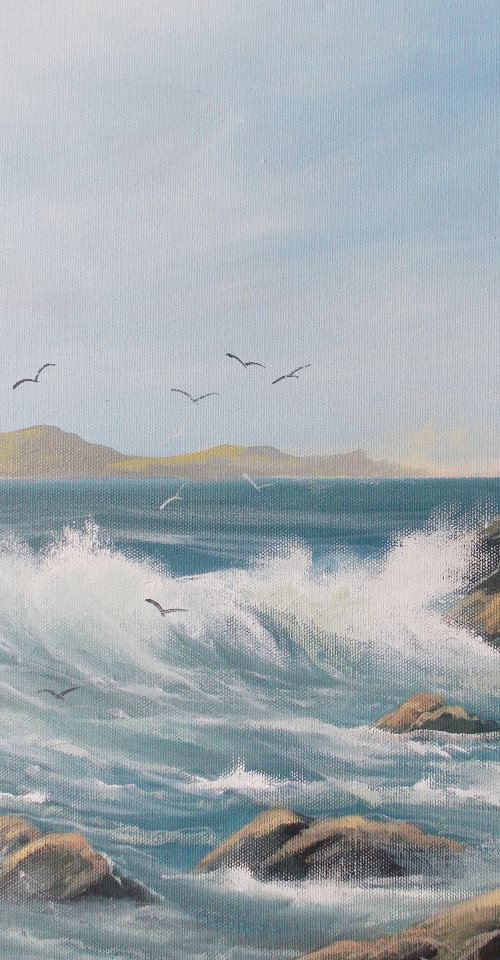 cruagh island waves by cathal o malley