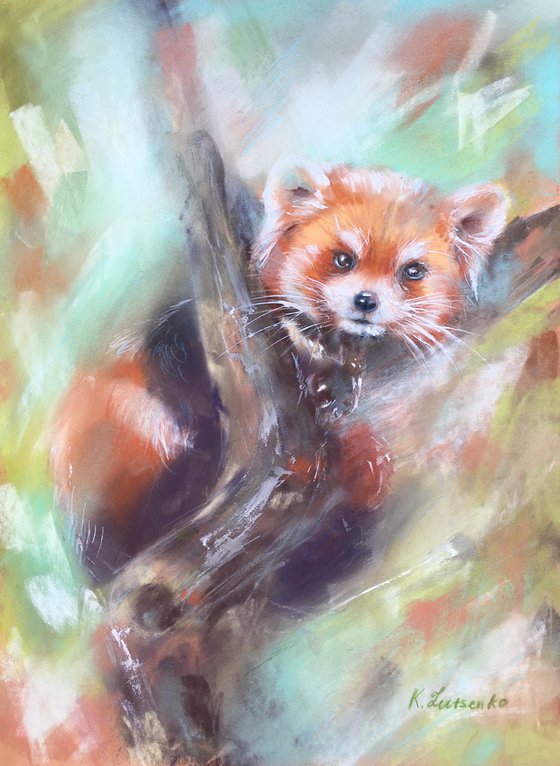 RED PANDA ON THE TREE