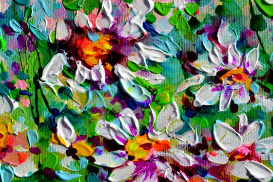 White Daisy Daisies Field