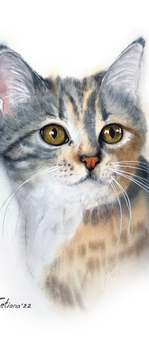 Cat portrait by Tetiana Koda