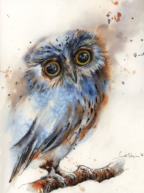 The Owl