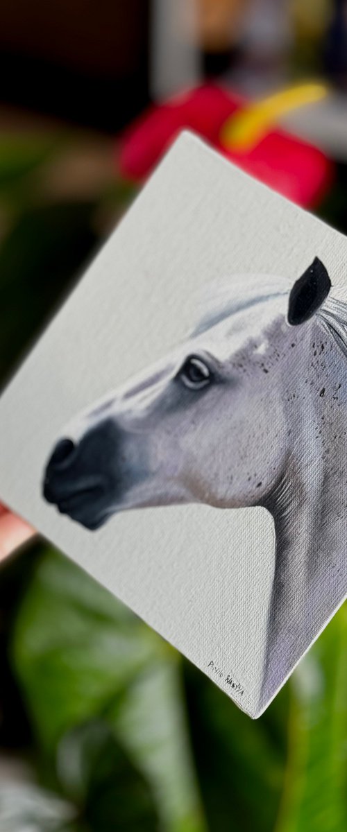 Horse Portrait 11 by Anastasia Parfilo