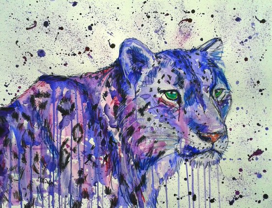 "Snow leopard"