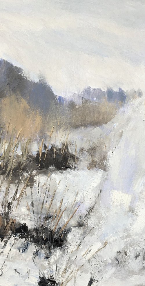 Snow and Grasses by Nikki Wheeler