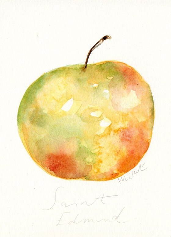 Saint Edmund Apple Watercolour