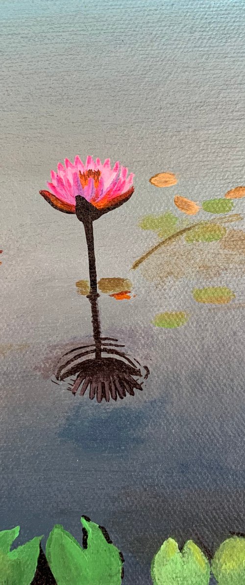 Pink water lily! Miniature painting by Amita Dand