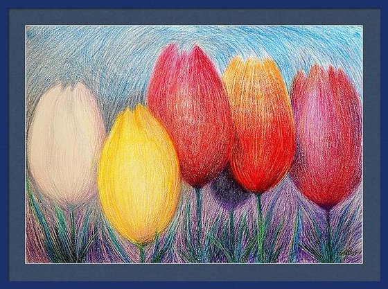 Tulips White 2