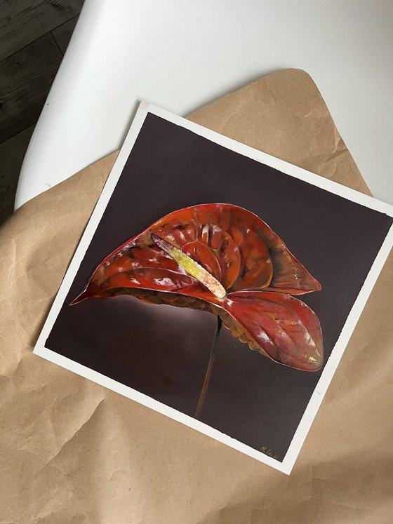 Red anthurium